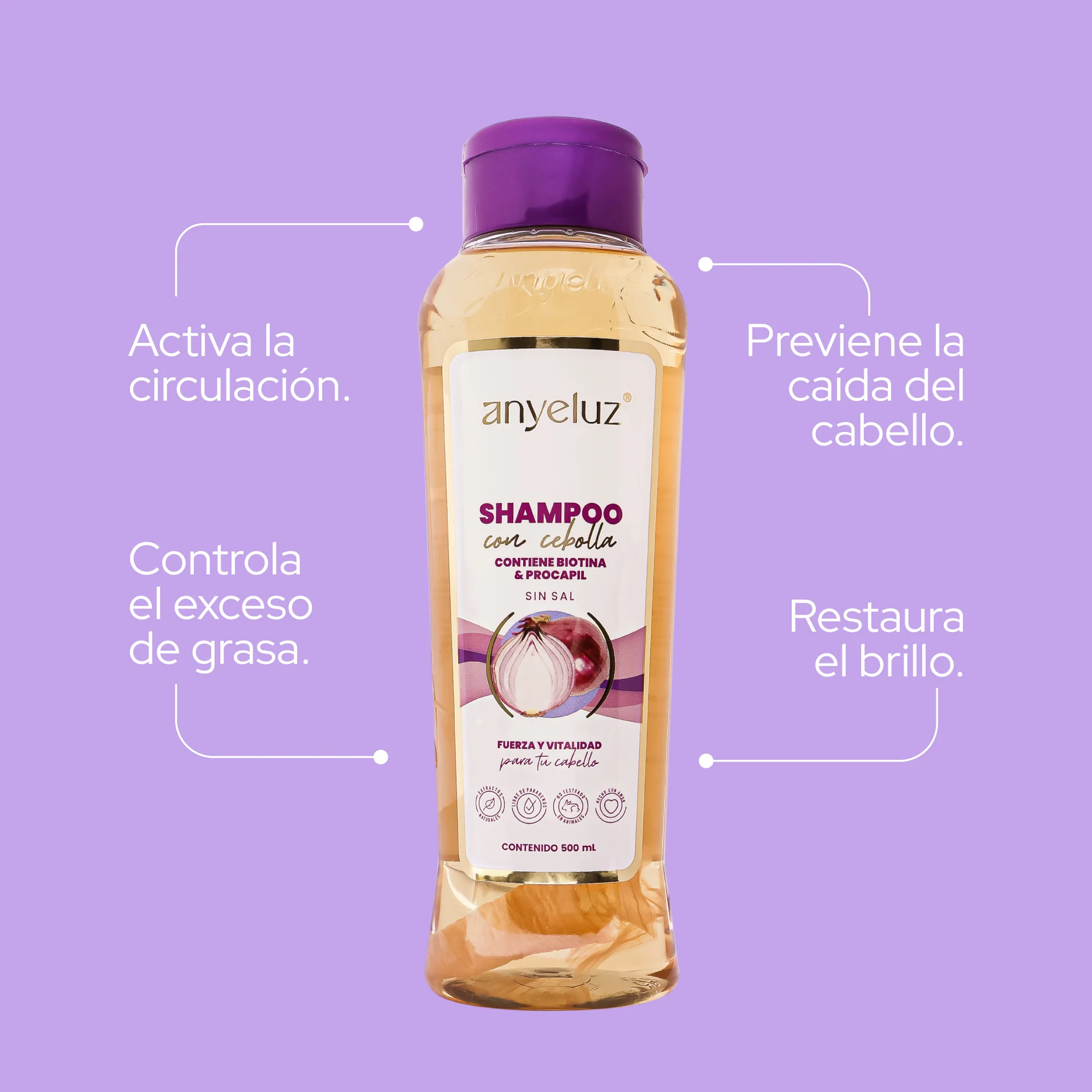 Kit Cuidado Capilar Cebolla Anyeluz
